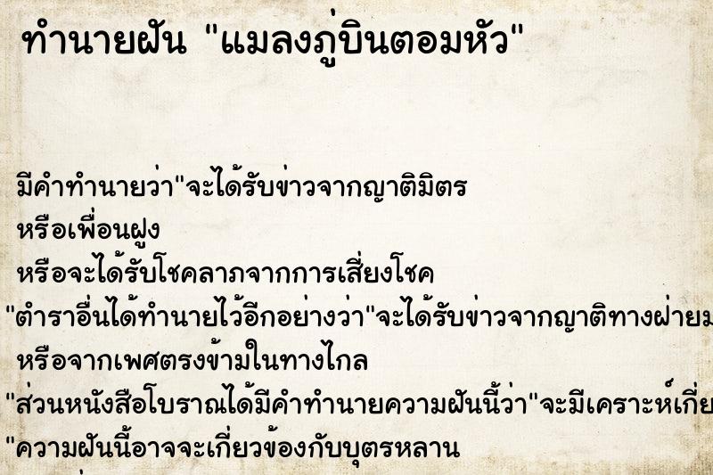 ทำนายฝัน แมลงภู่บินตอมหัว