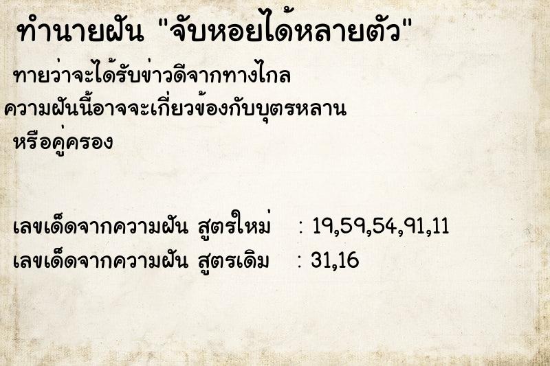 ทำนายฝัน จับหอยได้หลายตัว  เลขนำโชค 