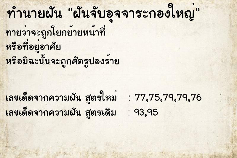 ทำนายฝัน ฝันจับอุจจาระกองใหญ่