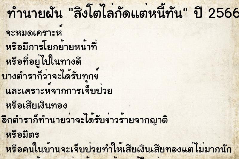 ทำนายฝัน สิงโตไล่กัดแต่หนี้ทัน