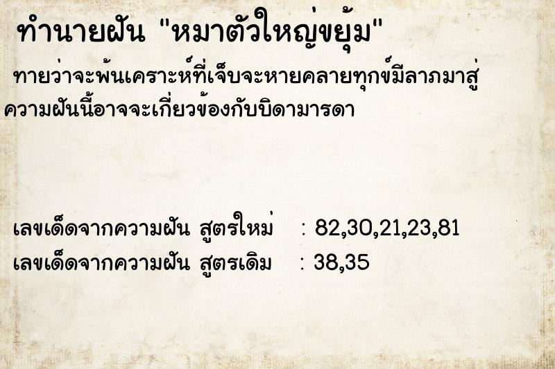 ทำนายฝัน หมาตัวใหญ่ขยุ้ม