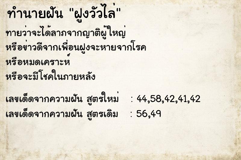 ทำนายฝัน ฝูงวัวไล่  เลขนำโชค 