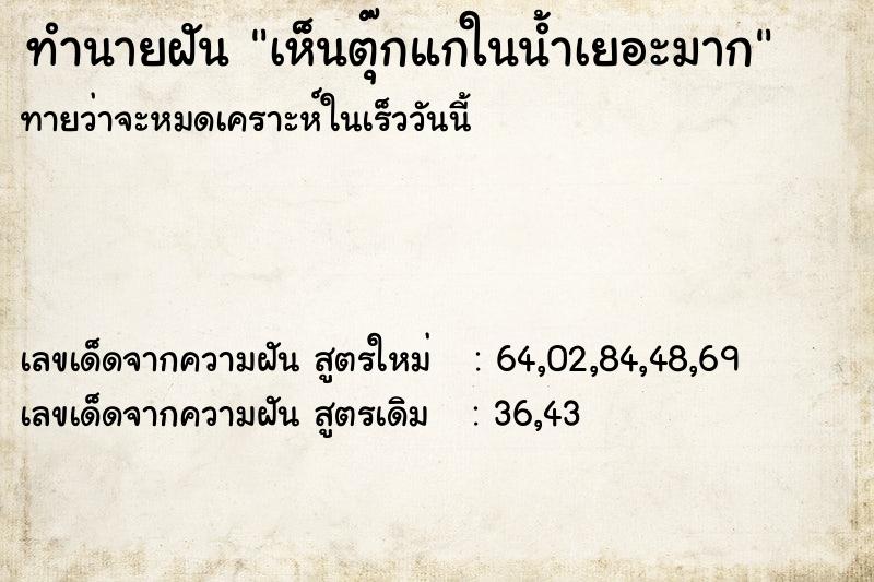 ทำนายฝัน เห็นตุ๊กแกในน้ำเยอะมาก