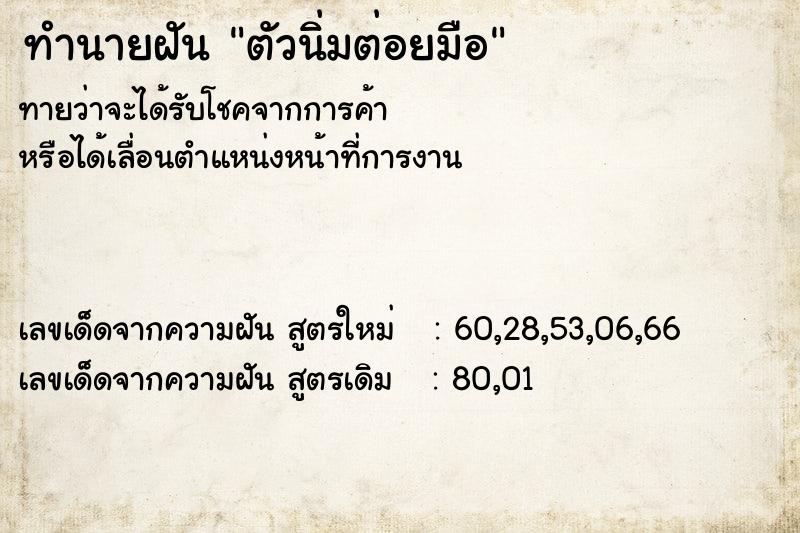 ทำนายฝัน ตัวนิ่มต่อยมือ