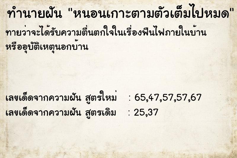 ทำนายฝัน หนอนเกาะตามตัวเต็มไปหมด