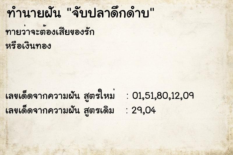 ทำนายฝัน จับปลาดึกดำบ