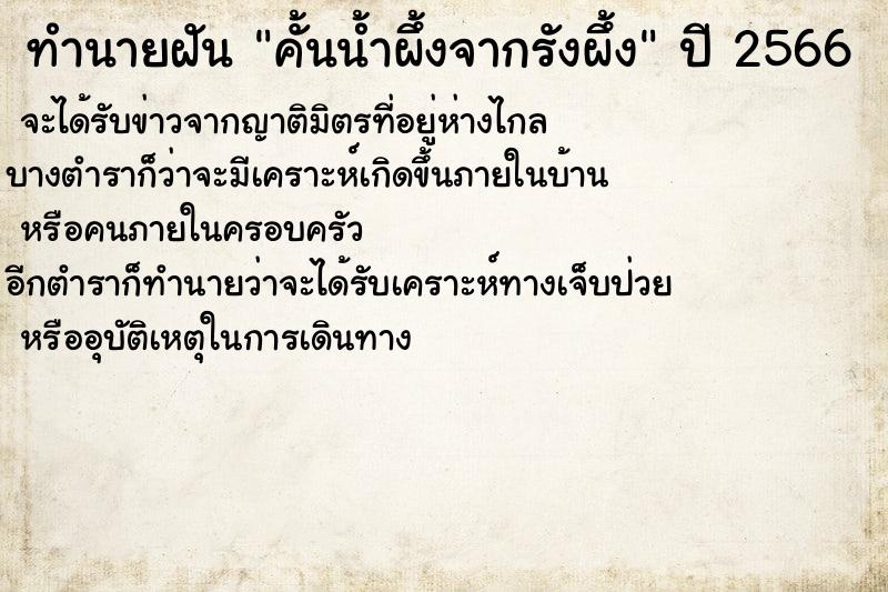 ทำนายฝัน คั้นน้ำผึ้งจากรังผึ้ง