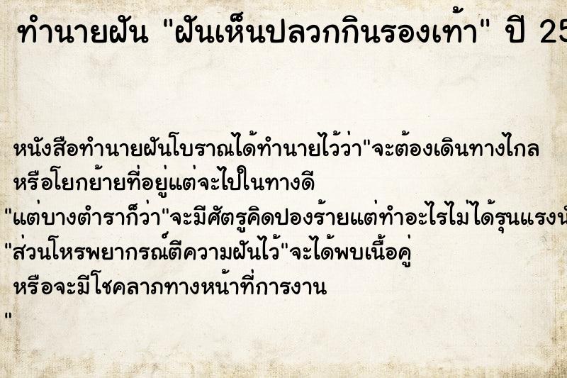 ทำนายฝัน ฝันเห็นปลวกกินรองเท้า