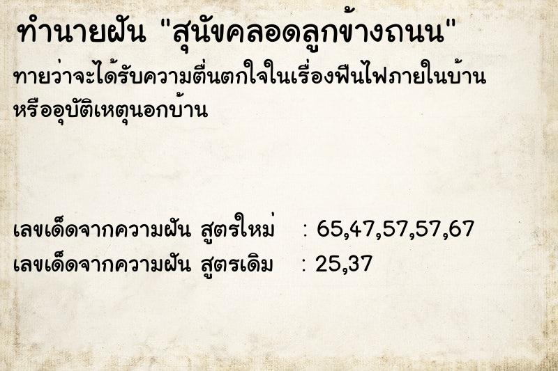 ทำนายฝัน สุนัขคลอดลูกข้างถนน