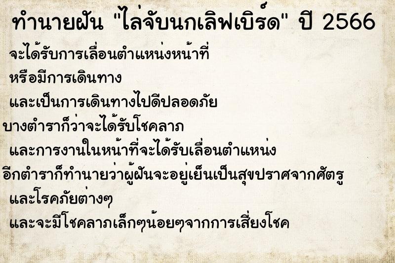 ทำนายฝัน ไล่จับนกเลิฟเบิร์ด  เลขนำโชค 