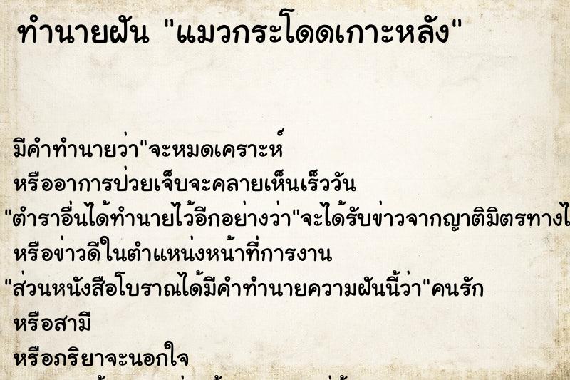 ทำนายฝัน แมวกระโดดเกาะหลัง