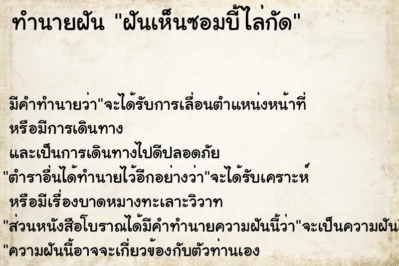 ทำนายฝัน ฝันเห็นซอมบี้ไล่กัด