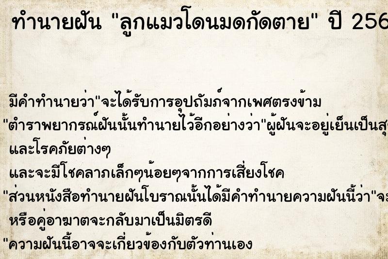 ทำนายฝัน ลูกแมวโดนมดกัดตาย  เลขนำโชค 