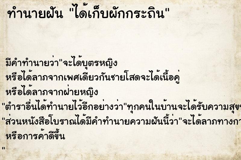 ทำนายฝัน ได้เก็บผักกระถิน