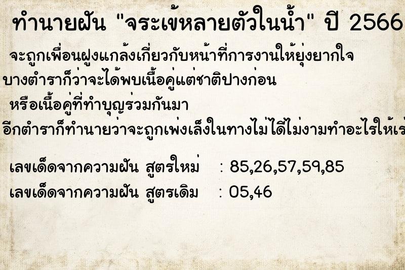 ทำนายฝัน จระเข้หลายตัวในน้ำ  เลขนำโชค 