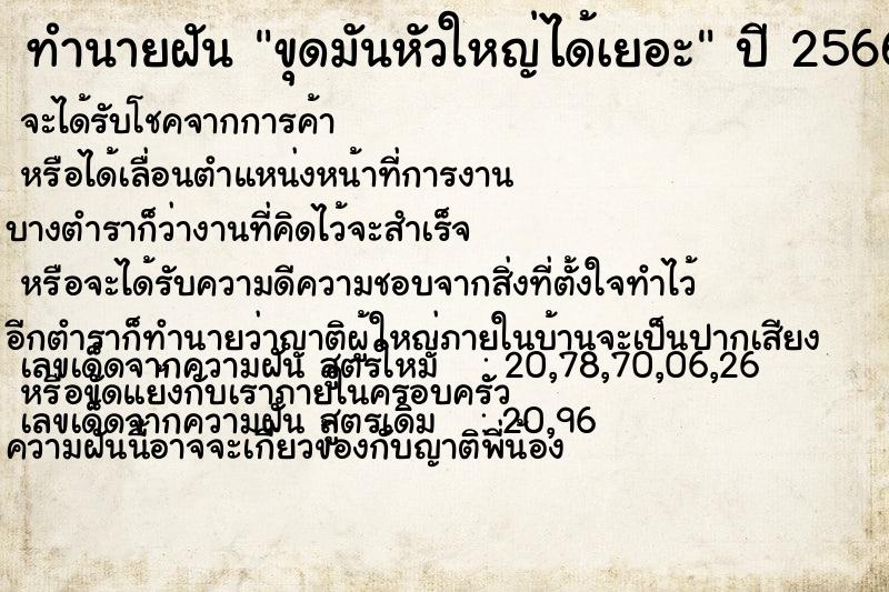 ทำนายฝัน ขุดมันหัวใหญ่ได้เยอะ