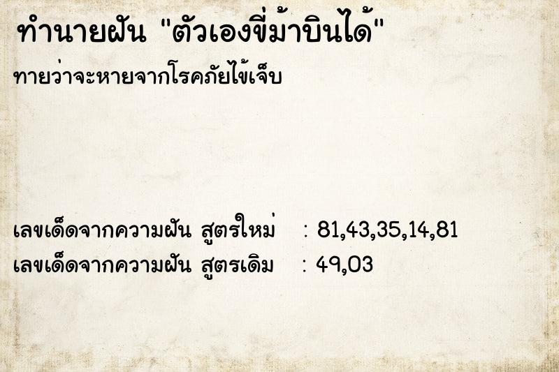 ทำนายฝัน ตัวเองขี่ม้าบินได้  เลขนำโชค 