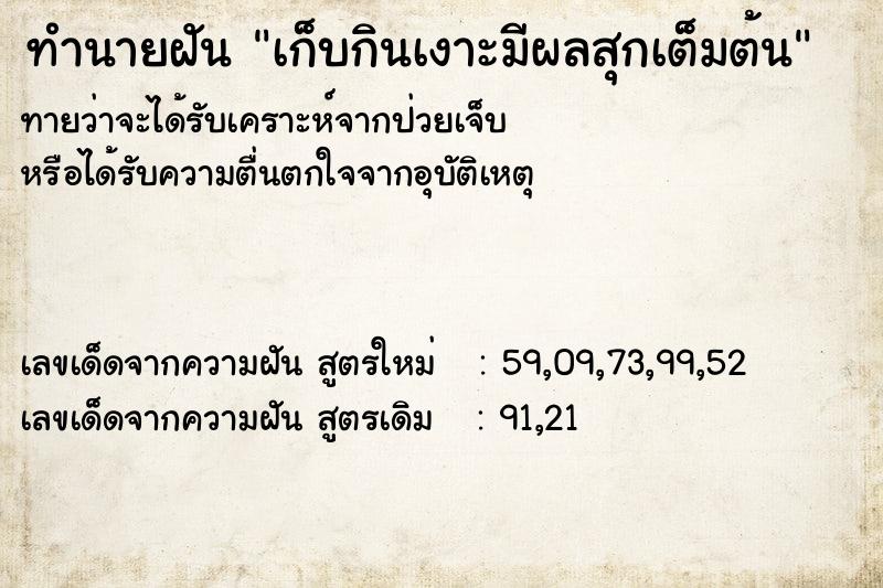 ทำนายฝัน เก็บกินเงาะมีผลสุกเต็มต้น