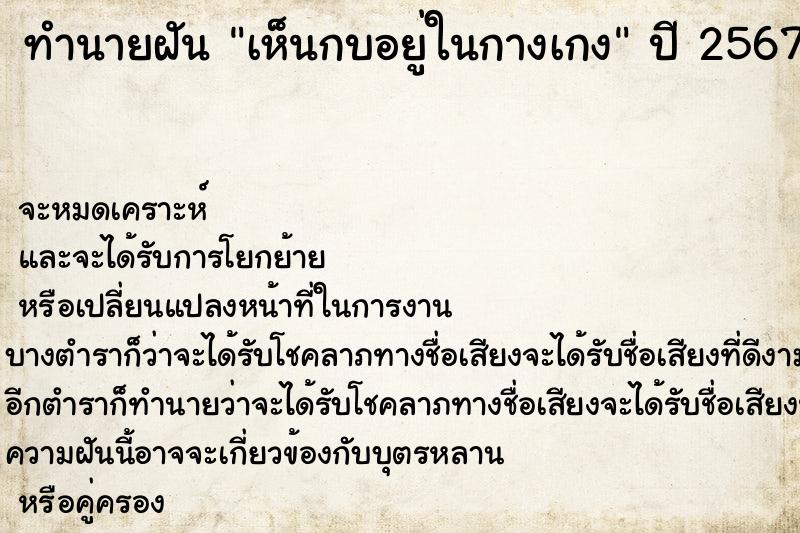 ทำนายฝัน เห็นกบอยู่ในกางเกง