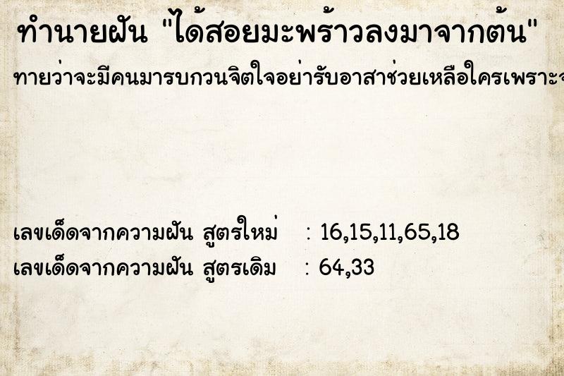 ทำนายฝัน ได้สอยมะพร้าวลงมาจากต้น