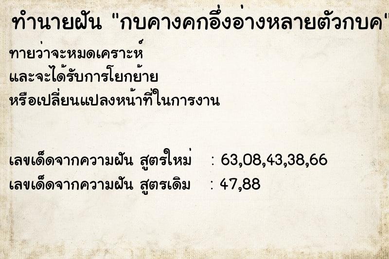 ทำนายฝัน กบคางคกอึ่งอ่างหลายตัวกบค