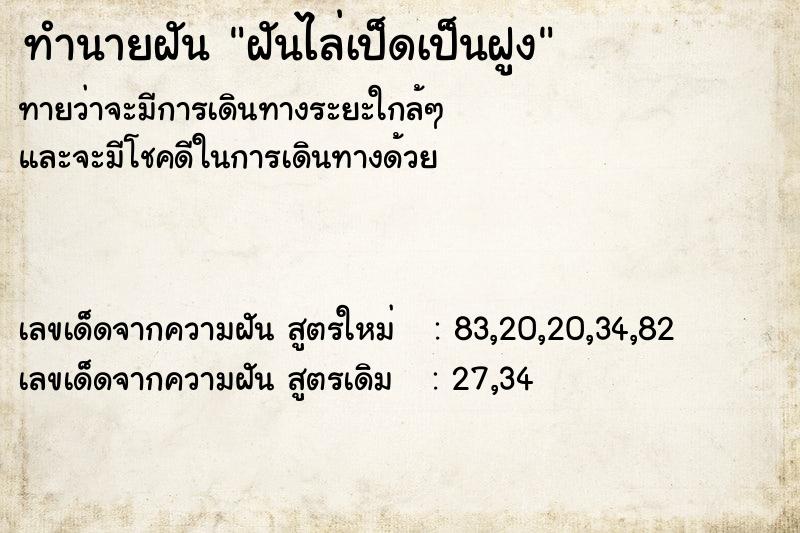 ทำนายฝัน ฝันไล่เป็ดเป็นฝูง