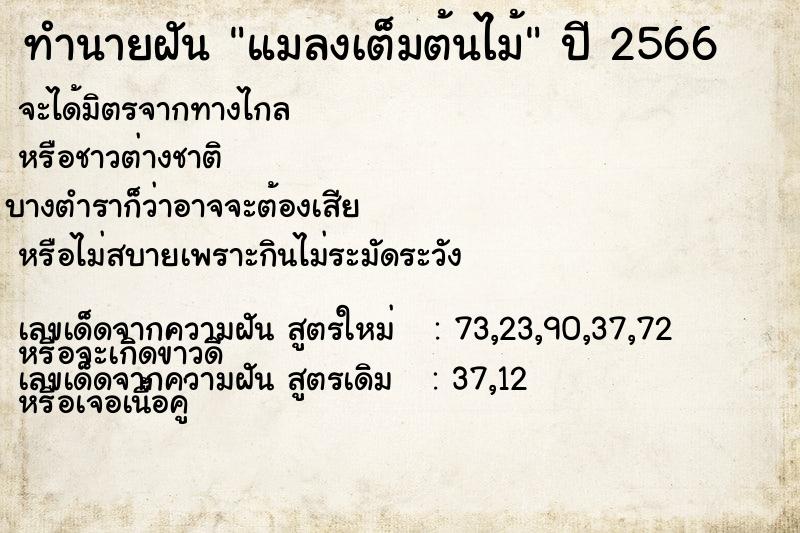 ทำนายฝัน แมลงเต็มต้นไม้