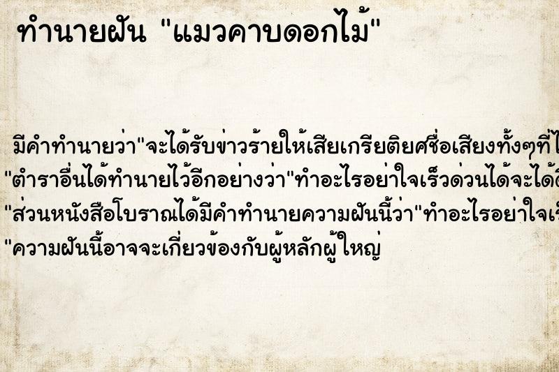 ทำนายฝัน แมวคาบดอกไม้