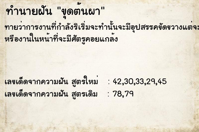 ทำนายฝัน ขุดต้นผา