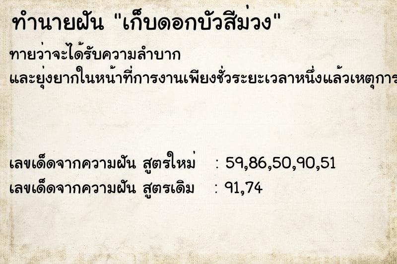 ทำนายฝัน เก็บดอกบัวสีม่วง