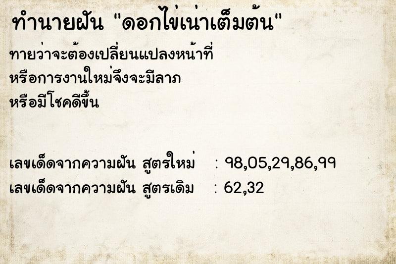 ทำนายฝัน ดอกไข่เน่าเต็มต้น