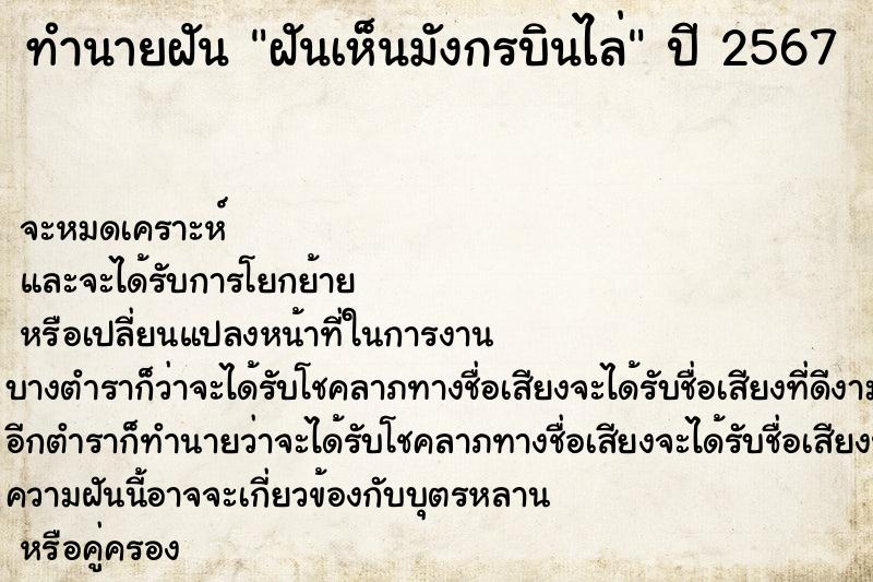 ทำนายฝัน ฝันเห็นมังกรบินไล่