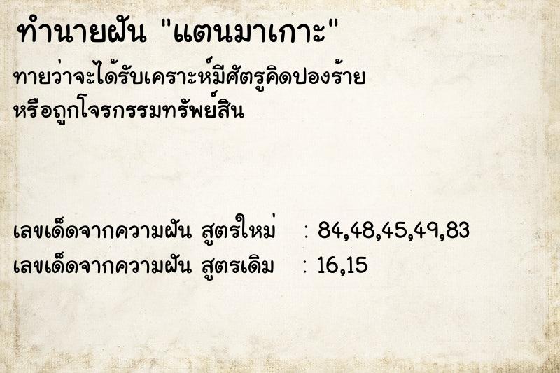 ทำนายฝัน แตนมาเกาะ