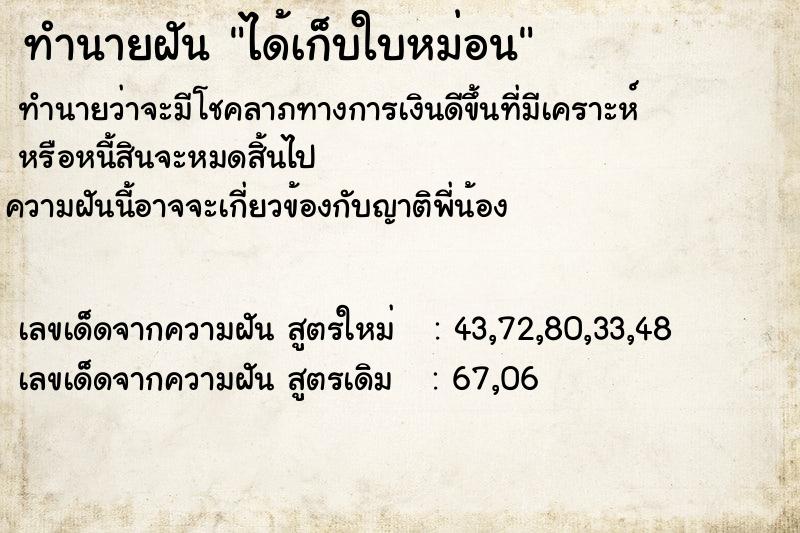 ทำนายฝัน ได้เก็บใบหม่อน  เลขนำโชค 