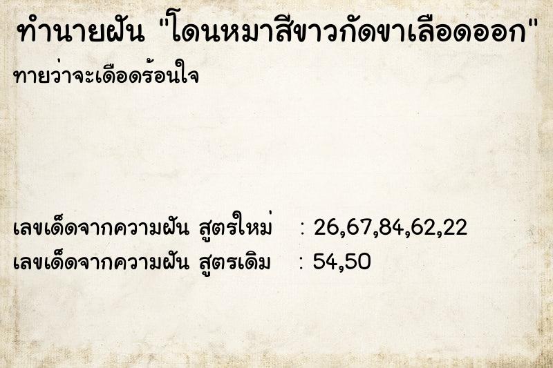 ทำนายฝัน โดนหมาสีขาวกัดขาเลือดออก