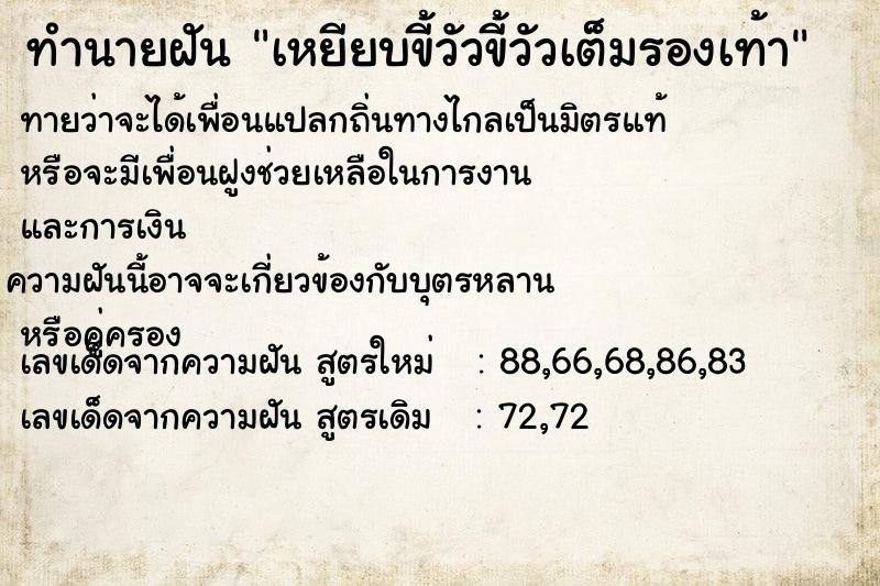 ทำนายฝัน เหยียบขี้วัวขี้วัวเต็มรองเท้า