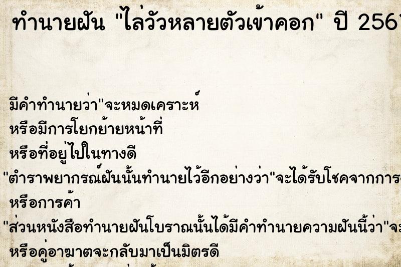 ทำนายฝัน ไล่วัวหลายตัวเข้าคอก  เลขนำโชค 