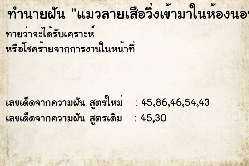 ทำนายฝัน แมวลายเสือวิ่งเข้ามาในห้องนอน