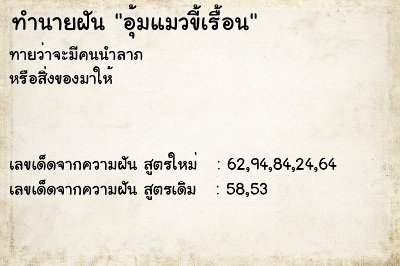 ทำนายฝัน อุ้มแมวขี้เรื้อน