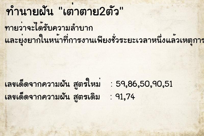 ทำนายฝัน เต่าตาย2ตัว