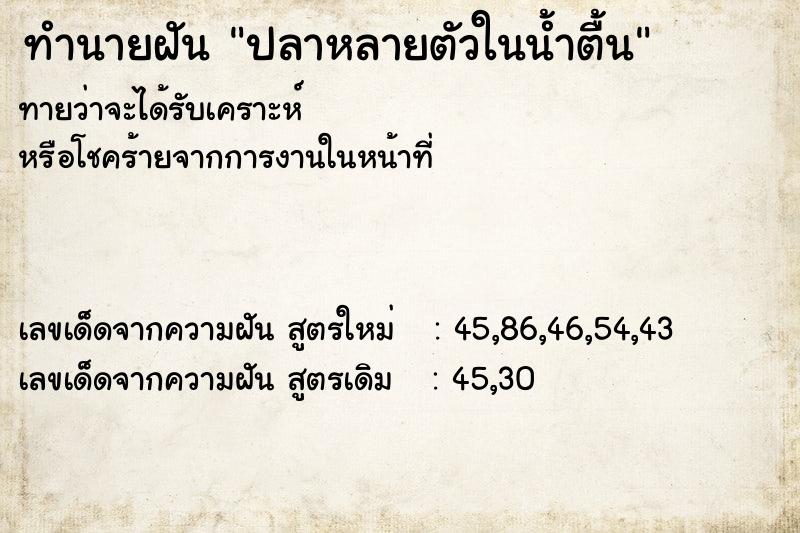 ทำนายฝัน ปลาหลายตัวในน้ำตื้น