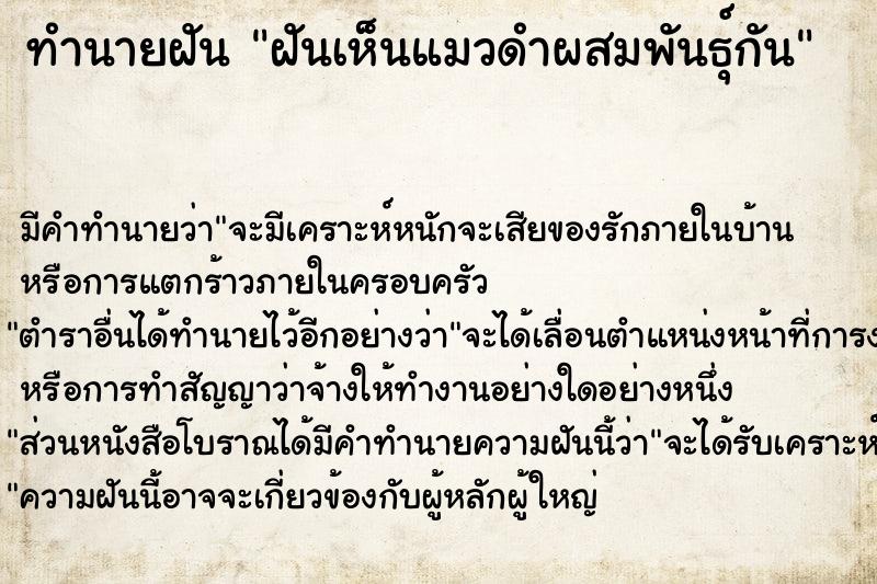 ทำนายฝัน ฝันเห็นแมวดำผสมพันธุ์กัน