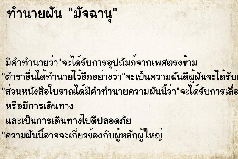 ทำนายฝัน มัจฉานุ