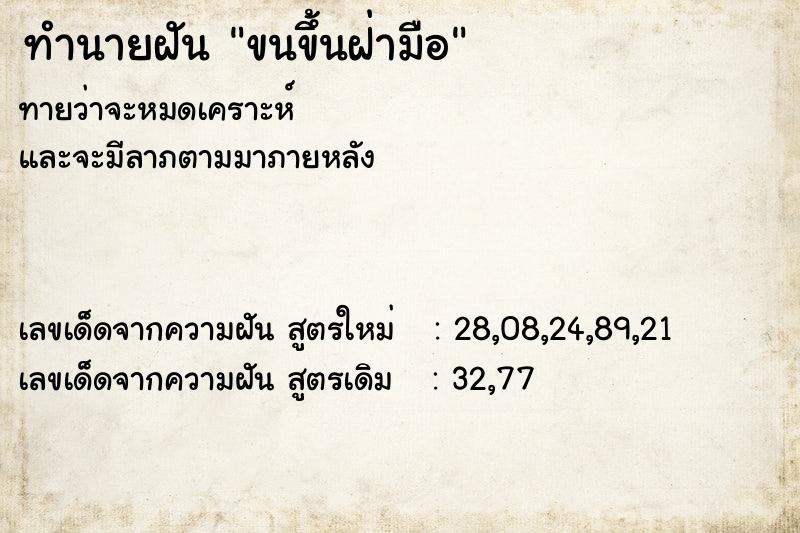 ทำนายฝัน ขนขึ้นฝ่ามือ