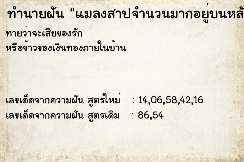 ทำนายฝัน แมลงสาปจำนวนมากอยู่บนหลัง