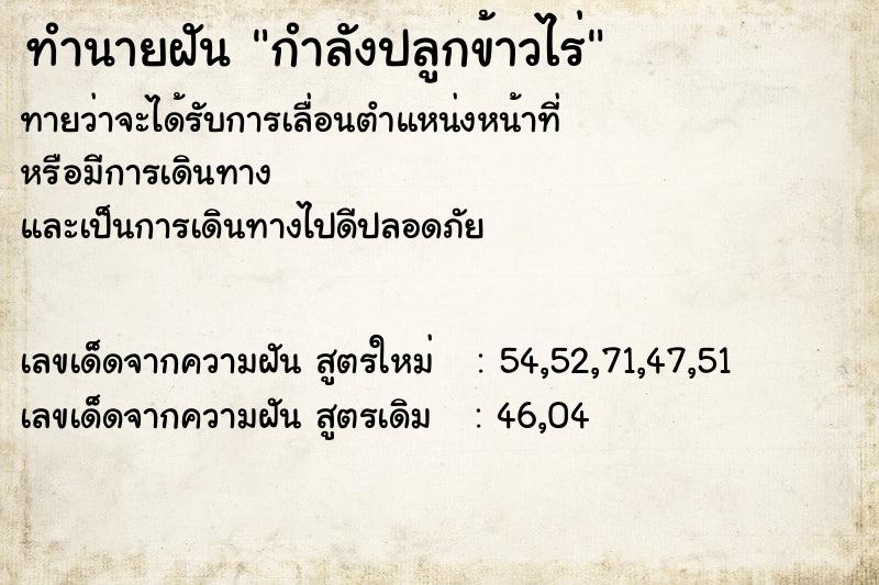 ทำนายฝัน กำลังปลูกข้าวไร่