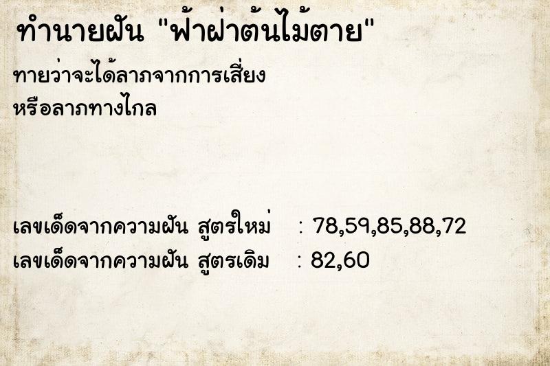 ทำนายฝัน ฟ้าฝ่าต้นไม้ตาย