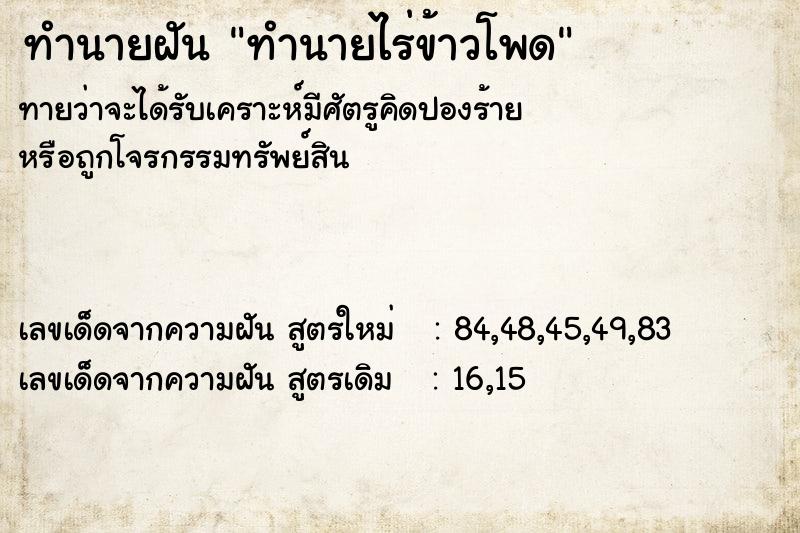 ทำนายฝัน ทำนายไร่ข้าวโพด