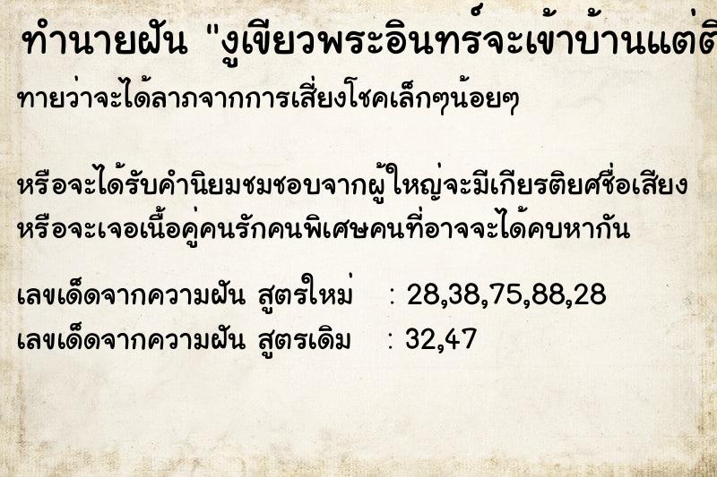 ทำนายฝัน งูเขียวพระอินทร์จะเข้าบ้านแต่ติดมุ้งลวด