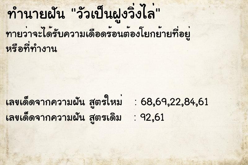 ทำนายฝัน วัวเป็นฝูงวิ่งไล่